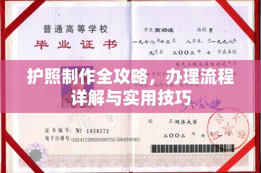南部护照制作全攻略，办理流程详解与实用技巧