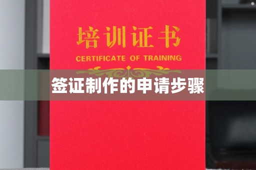 细河签证制作的申请步骤